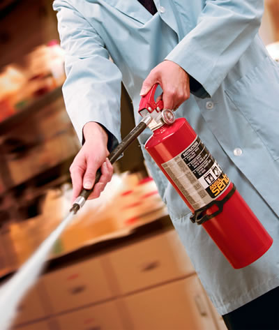 Image:  Ansul/Tyco Fire Protection Products.