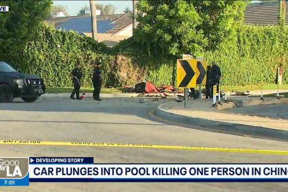 Two people were killed and one injured when the driver of a C8 Corvette Stingray plunged it into a neighborhood swimming pool in California